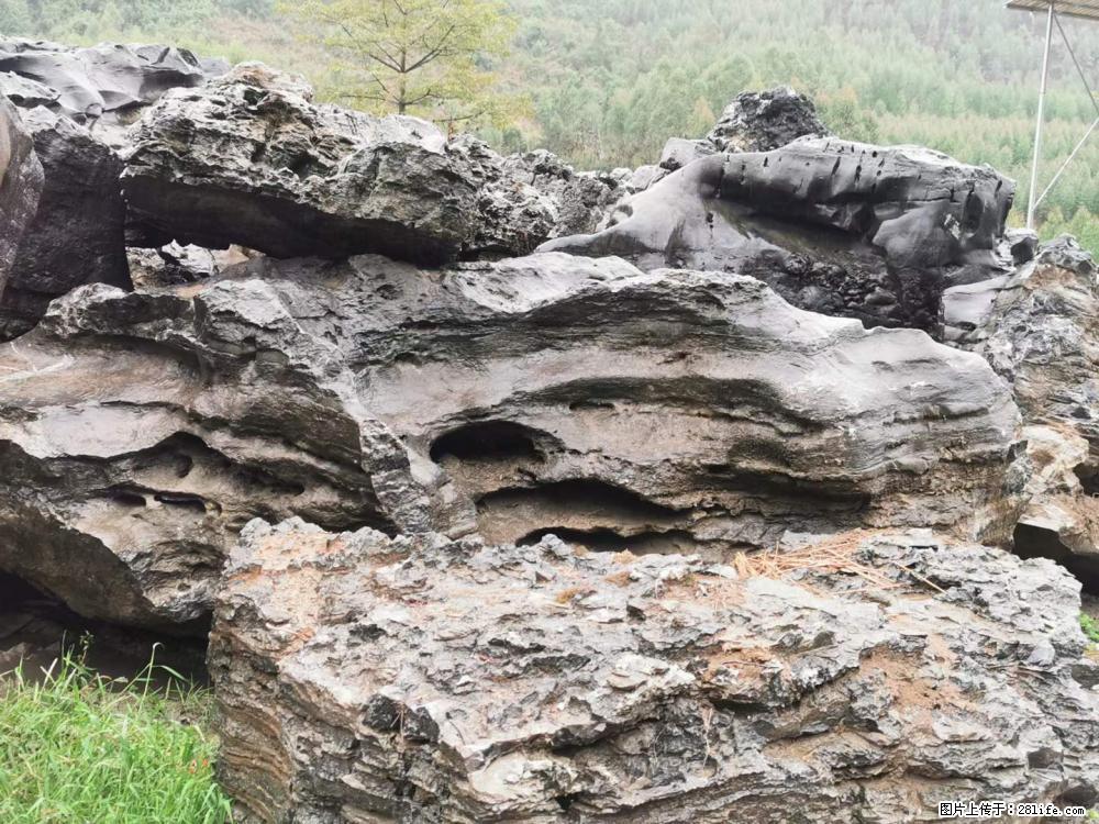 风景石、假山石大量有货，有需要的欢迎联系 - 新手上路 - 楚雄生活社区 - 楚雄28生活网 cx.28life.net