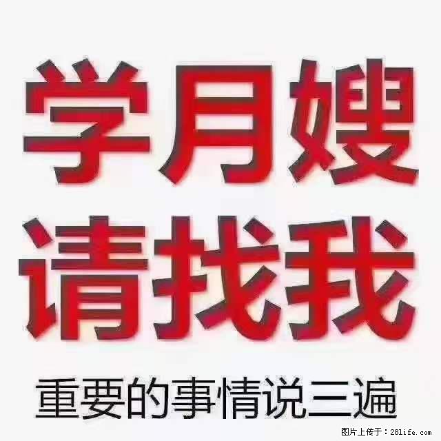 为什么要学习月嫂，育婴师？ - 其他广告 - 广告专区 - 楚雄分类信息 - 楚雄28生活网 cx.28life.net