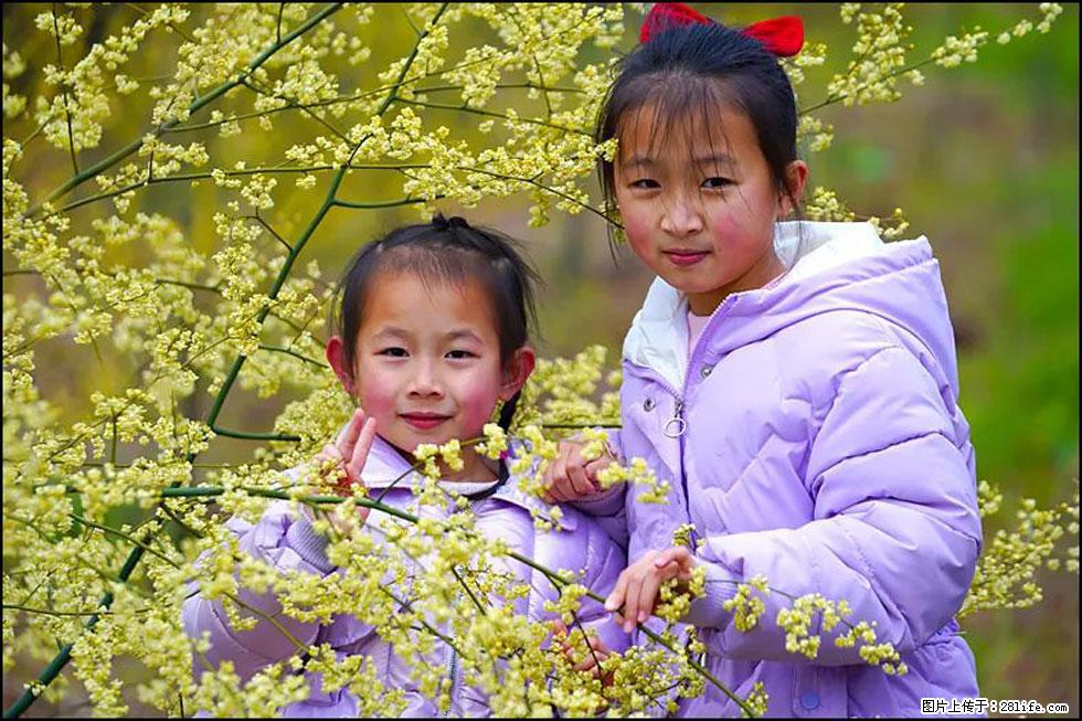 【春天，广西桂林灌阳县向您发出邀请！】米珠山前有片山苍子花在飘香 - 游山玩水 - 楚雄生活社区 - 楚雄28生活网 cx.28life.net