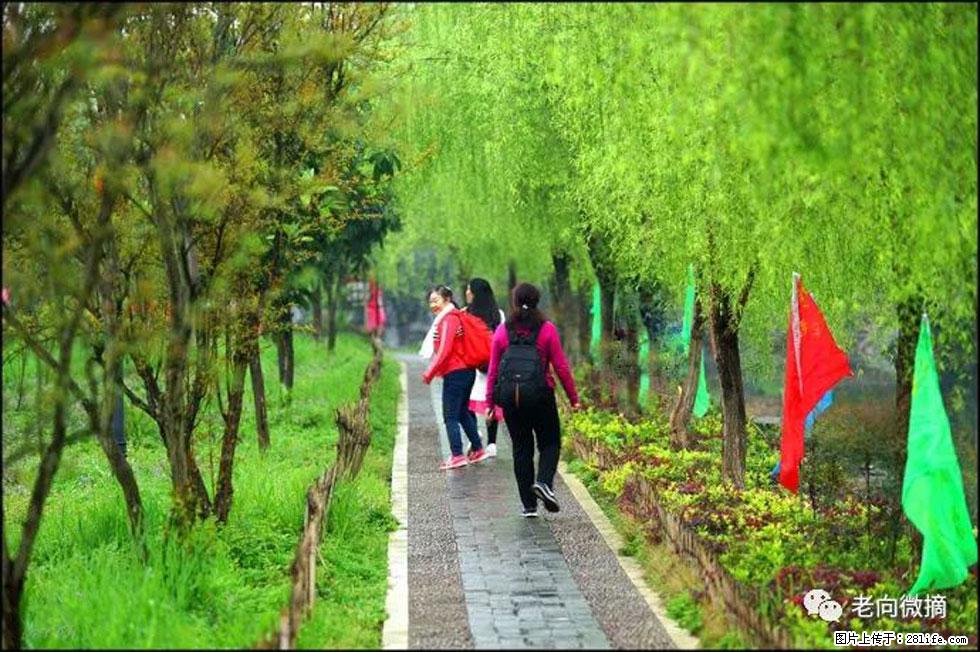 【春天，广西桂林灌阳县向您发出邀请！】江口老街又逢春 - 游山玩水 - 楚雄生活社区 - 楚雄28生活网 cx.28life.net