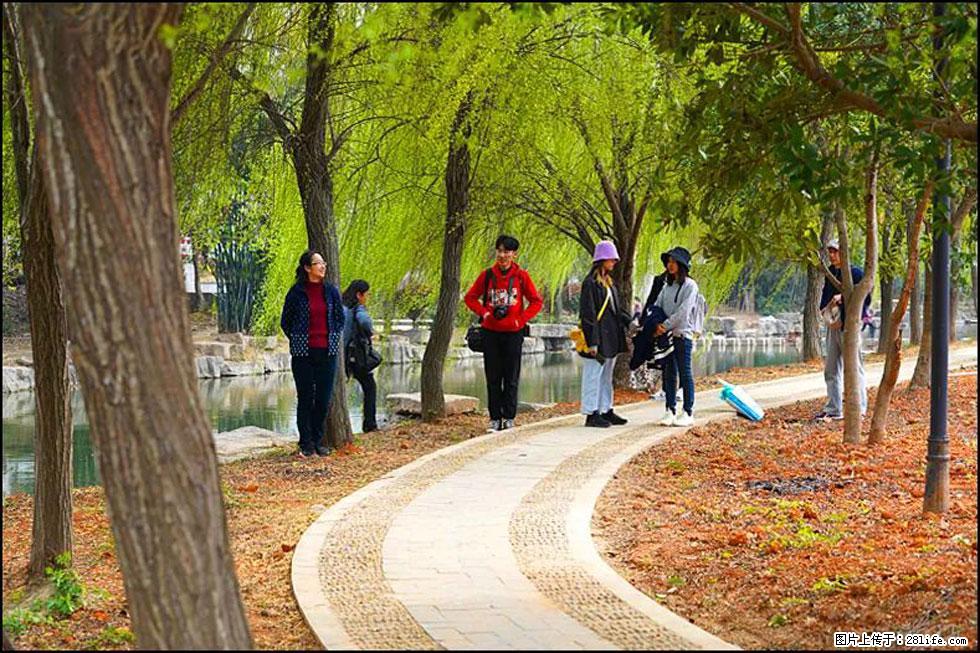 【春天，广西桂林灌阳县向您发出邀请！】江口老街又逢春 - 游山玩水 - 楚雄生活社区 - 楚雄28生活网 cx.28life.net
