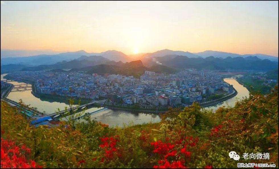 【春天，广西桂林灌阳县向您发出邀请！】登麒麟山，相约映山红 - 游山玩水 - 楚雄生活社区 - 楚雄28生活网 cx.28life.net