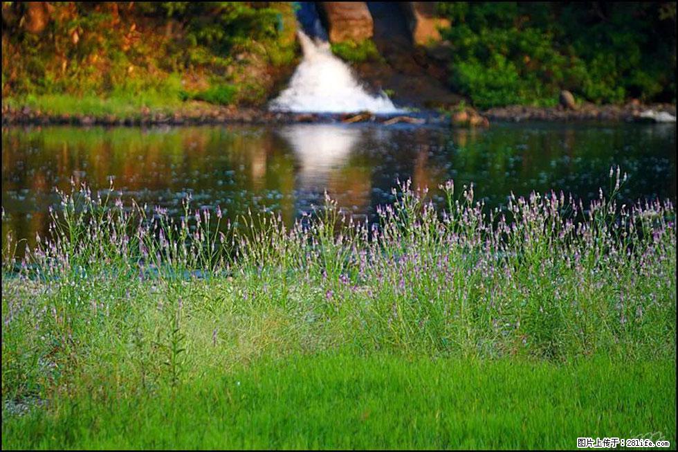 【春天，广西桂林灌阳县向您发出邀请！】熊家寨湿地公园 - 游山玩水 - 楚雄生活社区 - 楚雄28生活网 cx.28life.net