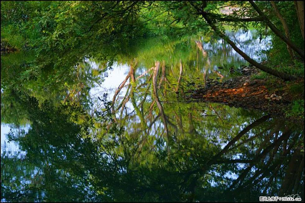 【春天，广西桂林灌阳县向您发出邀请！】熊家寨湿地公园 - 游山玩水 - 楚雄生活社区 - 楚雄28生活网 cx.28life.net