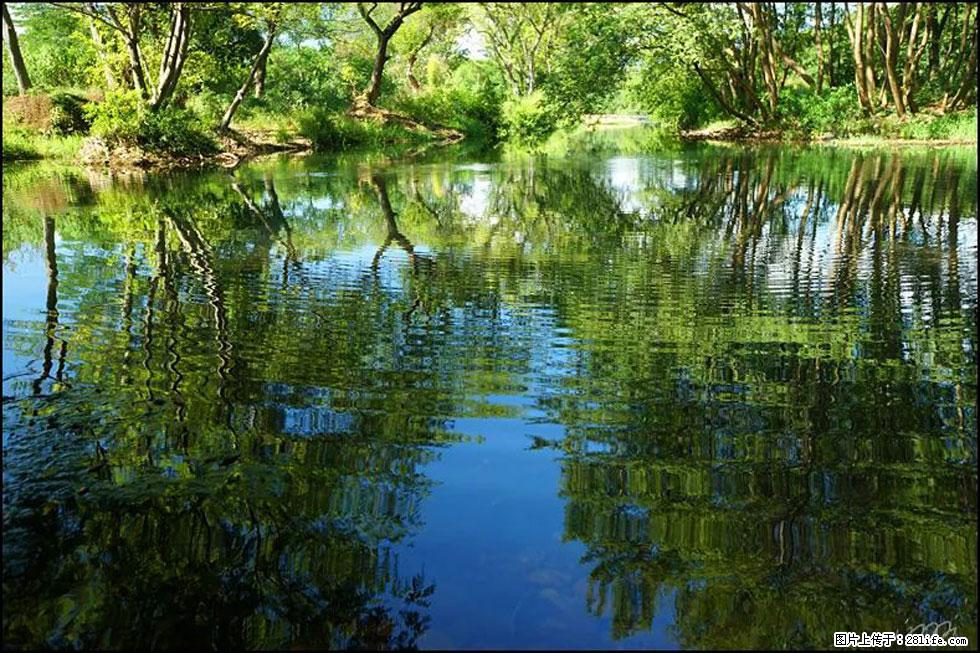 【春天，广西桂林灌阳县向您发出邀请！】熊家寨湿地公园 - 游山玩水 - 楚雄生活社区 - 楚雄28生活网 cx.28life.net