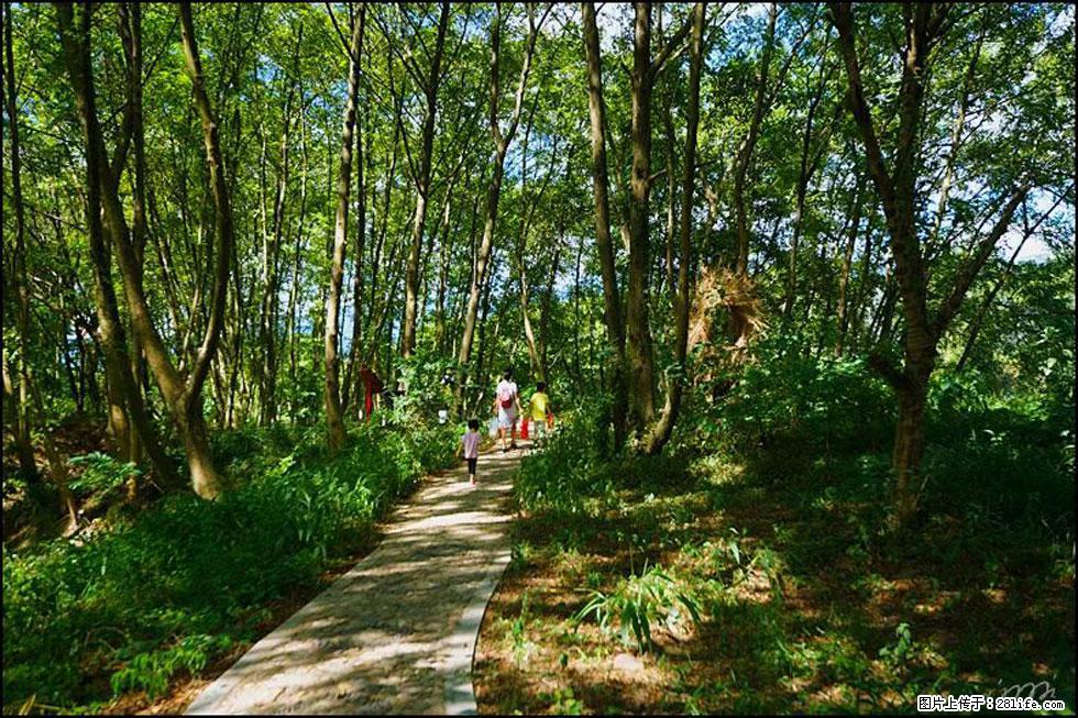 【春天，广西桂林灌阳县向您发出邀请！】熊家寨湿地公园 - 游山玩水 - 楚雄生活社区 - 楚雄28生活网 cx.28life.net
