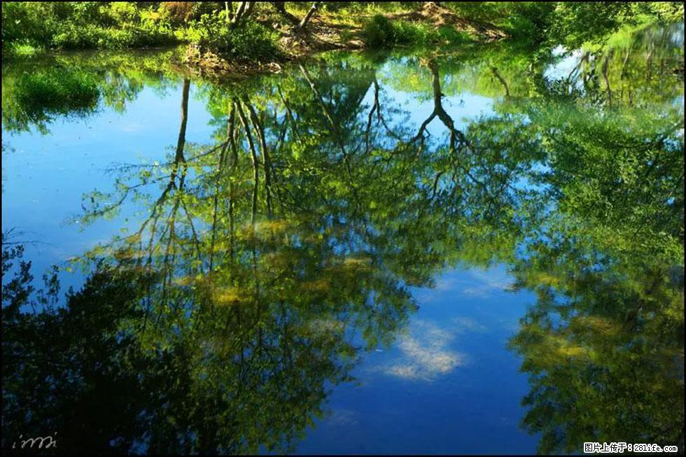 【春天，广西桂林灌阳县向您发出邀请！】熊家寨湿地公园 - 游山玩水 - 楚雄生活社区 - 楚雄28生活网 cx.28life.net