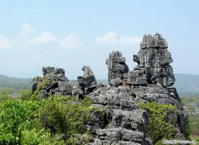 桂林旅游名城景点：灌阳文市石林 - 游山玩水 - 楚雄生活社区 - 楚雄28生活网 cx.28life.net