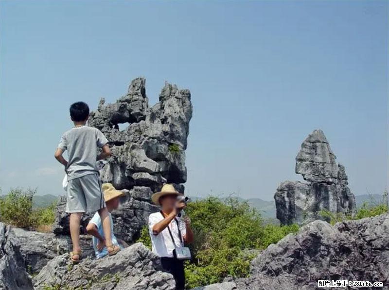 桂林旅游名城景点：灌阳文市石林 - 游山玩水 - 楚雄生活社区 - 楚雄28生活网 cx.28life.net