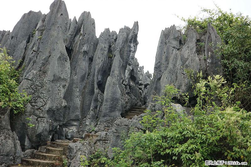 桂林旅游名城景点：灌阳文市石林 - 游山玩水 - 楚雄生活社区 - 楚雄28生活网 cx.28life.net