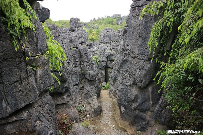 桂林旅游名城景点：灌阳文市石林 - 游山玩水 - 楚雄生活社区 - 楚雄28生活网 cx.28life.net