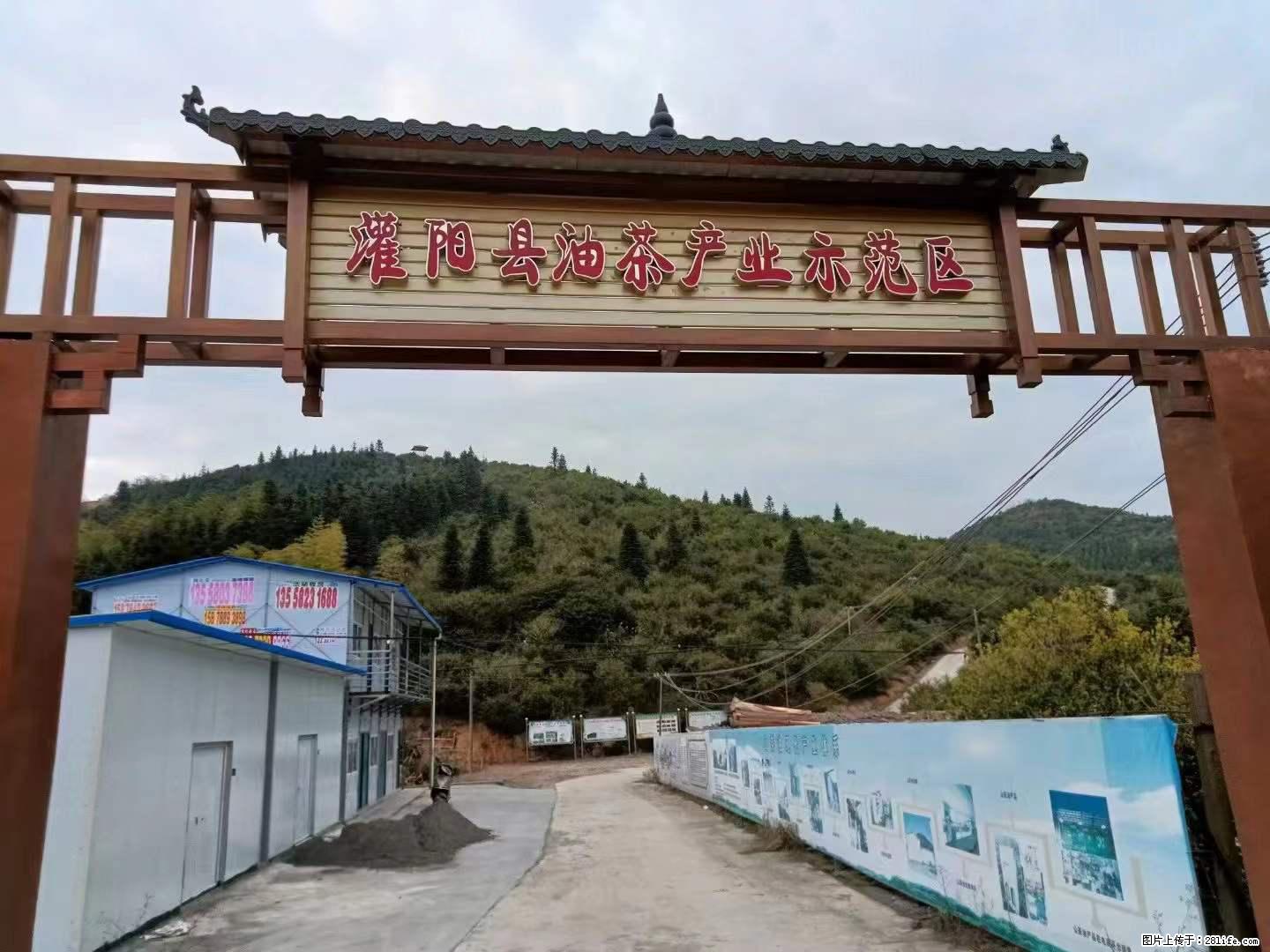 【灌阳县油茶产业示范区】一个有着充实的精神生活的人，对待身外之物自会有一种淡泊的态度 - 美食天地 - 楚雄生活社区 - 楚雄28生活网 cx.28life.net
