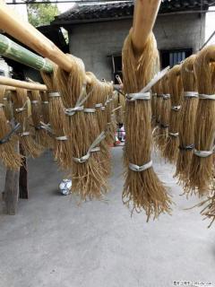 【灌阳正宗红薯粉】美女家里自己做的，干净卫生，假一赔十，价格合理，抢购电话：13737312895 - 楚雄28生活网 cx.28life.net