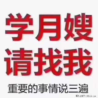 为什么要学习月嫂，育婴师？ - 楚雄28生活网 cx.28life.net