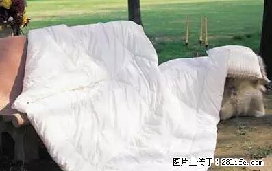 被子有异味？只要这样做，比晒太阳还强100倍！ - 家居生活 - 楚雄生活社区 - 楚雄28生活网 cx.28life.net