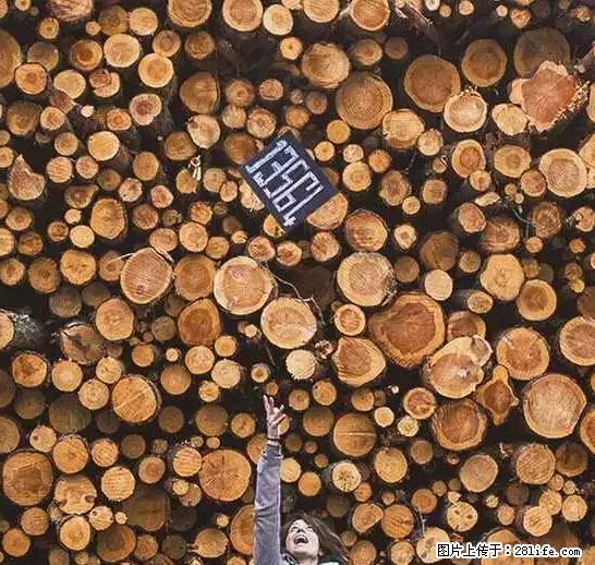 辞掉工作周游世界？现在他们在洗厕所…… - 游山玩水 - 楚雄生活社区 - 楚雄28生活网 cx.28life.net
