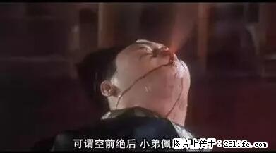 笑癫了！一女的怀孕三年未生，他终于忍不住了... - 娱乐八卦 - 楚雄生活社区 - 楚雄28生活网 cx.28life.net