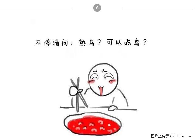 千万不要和这9种哈卵一起吃火锅！ - 美食天地 - 楚雄生活社区 - 楚雄28生活网 cx.28life.net