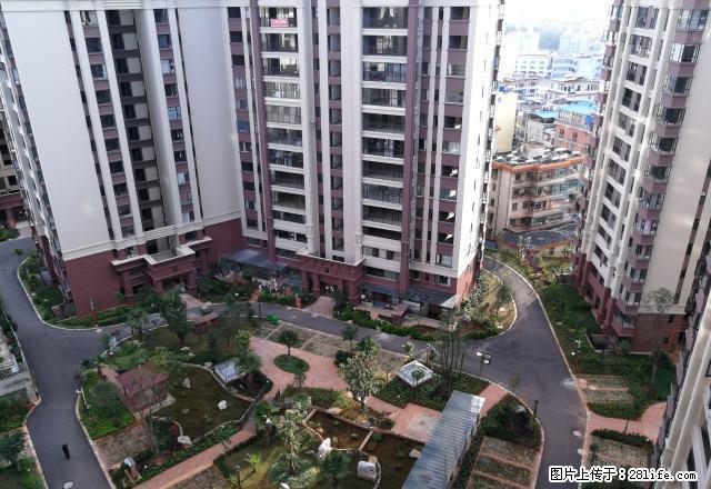 师院附小旁学府壹号黄.金楼层精装修带部分家具大三房出租 - 房屋出租 - 房屋租售 - 楚雄分类信息 - 楚雄28生活网 cx.28life.net