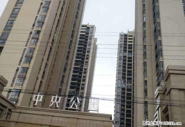 师院附小旁学府壹号黄.金楼层精装修带部分家具大三房出租 - 房屋出租 - 房屋租售 - 楚雄分类信息 - 楚雄28生活网 cx.28life.net