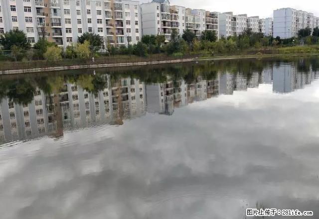 急租！老城区孝心一楼精装三房城市花园楚风苑带家具家电拎包即住 - 房屋出租 - 房屋租售 - 楚雄分类信息 - 楚雄28生活网 cx.28life.net