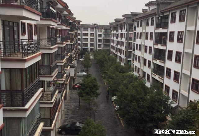 彝人古镇附近精装拎包即住阳光闲庭星宿家园标准大4室 - 房屋出租 - 房屋租售 - 楚雄分类信息 - 楚雄28生活网 cx.28life.net