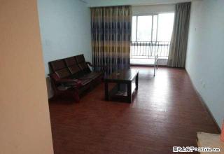 警校路 师院旁，精装 带独立卫生间 出租700元每月 - 楚雄28生活网 cx.28life.net