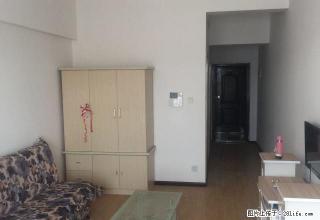 熙和名筑精装小公寓1000元月租拎包入住。 - 楚雄28生活网 cx.28life.net