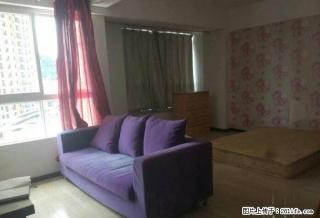 太阳成精装修公寓1室1厅1卫600元拎包入住家具全 - 楚雄28生活网 cx.28life.net