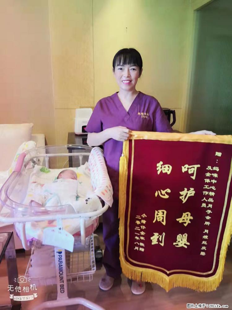 上海高端月子会所招新手月嫂，零基础带教，包吃住 - 职场交流 - 楚雄生活社区 - 楚雄28生活网 cx.28life.net