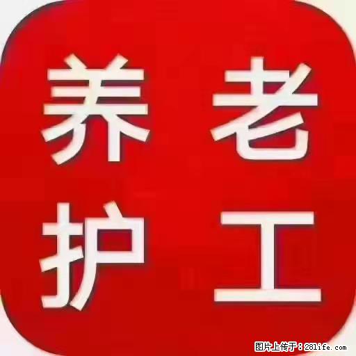 上海国企养老院，星级酒店环境，招聘养老护工 - 职场交流 - 楚雄生活社区 - 楚雄28生活网 cx.28life.net
