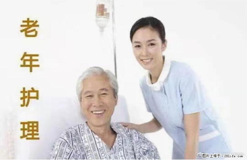 上海国企养老院，星级酒店环境，招聘养老护工 - 职场交流 - 楚雄生活社区 - 楚雄28生活网 cx.28life.net