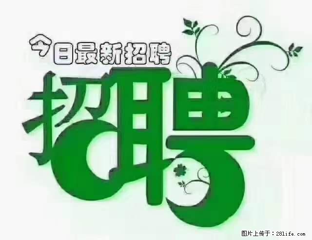 【招聘】产康师 - 职场交流 - 楚雄生活社区 - 楚雄28生活网 cx.28life.net