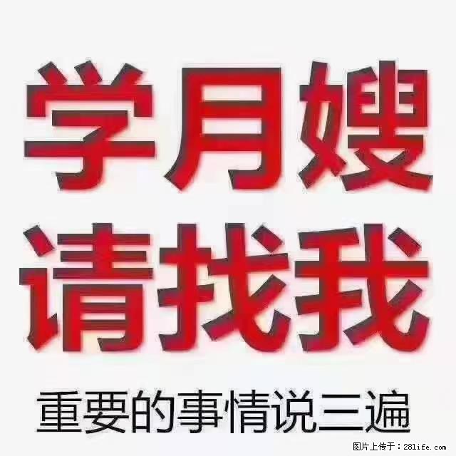 【招聘】月嫂,上海徐汇区 - 职场交流 - 楚雄生活社区 - 楚雄28生活网 cx.28life.net
