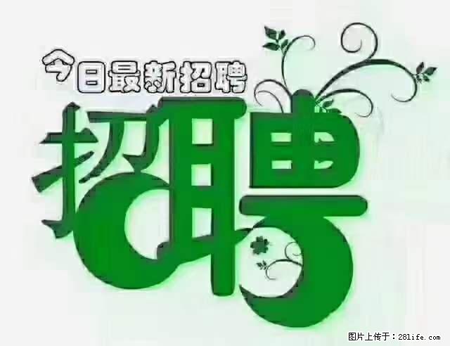 上海隔离酒店招人：55岁以下 男女不限 - 职场交流 - 楚雄生活社区 - 楚雄28生活网 cx.28life.net