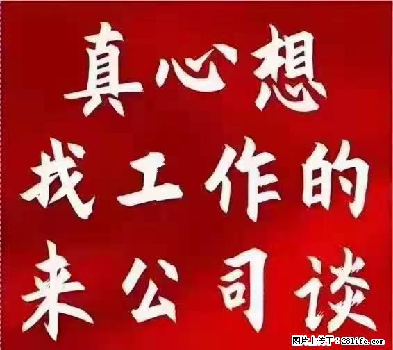【上海】国企，医院招两名男保安，55岁以下，身高1.7米以上，无犯罪记录不良嗜好 - 职场交流 - 楚雄生活社区 - 楚雄28生活网 cx.28life.net