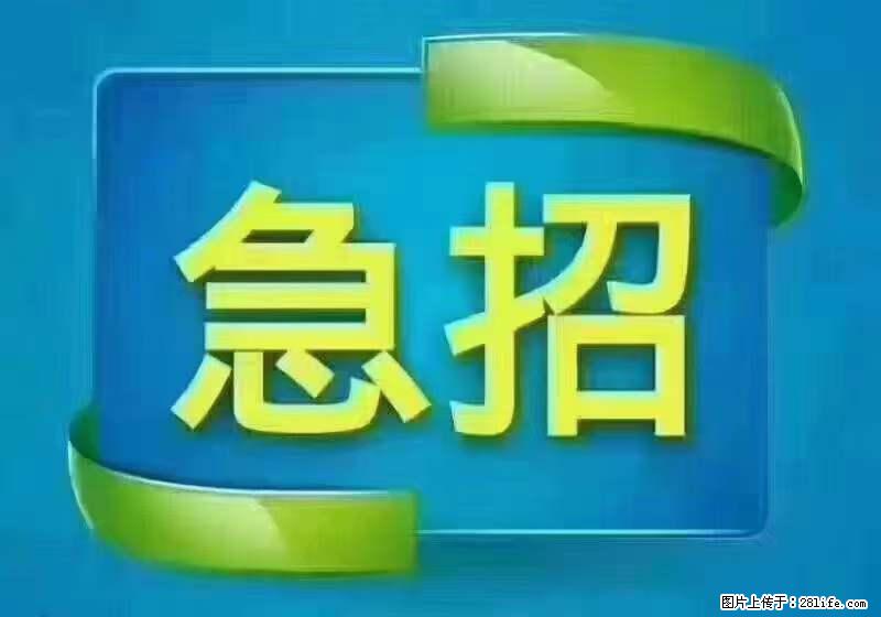 招出纳8000元/月，无证可以，要有相关经验，上海五险一金，包住，包工作餐，做六休一。 - 职场交流 - 楚雄生活社区 - 楚雄28生活网 cx.28life.net