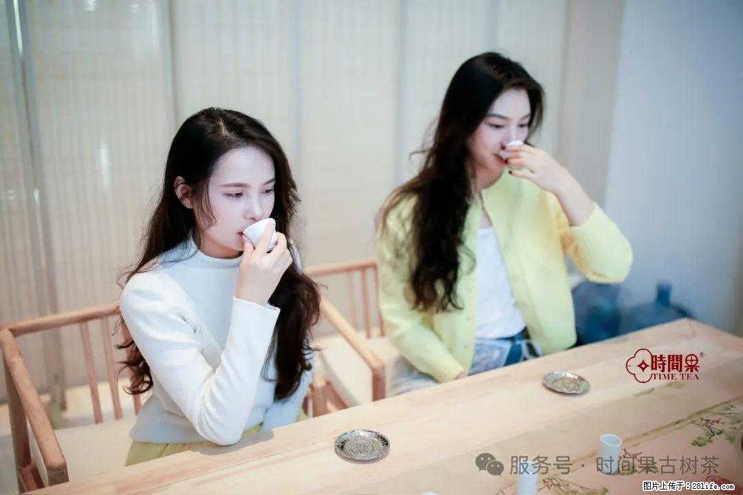 时间果百年古树龙珠普洱生茶 - 购物交流 - 楚雄生活社区 - 楚雄28生活网 cx.28life.net