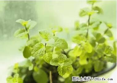 晕车、脚气、牙齿变黄、皮肤粗糙？学会这些三分钟搞定！ - 楚雄生活资讯 - 楚雄28生活网 cx.28life.net