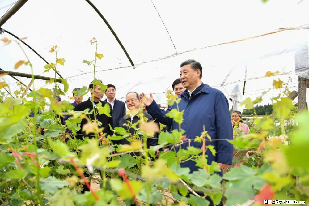 习近平赴广西考察调研 - 楚雄生活资讯 - 楚雄28生活网 cx.28life.net