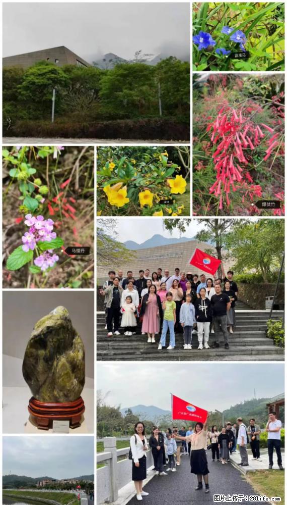 “粤灌文化 美好生活”油茶文化主题活动在广东深圳成功举办 - 楚雄生活资讯 - 楚雄28生活网 cx.28life.net