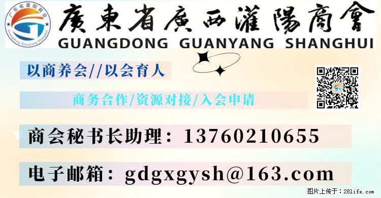 “粤灌文化 美好生活”油茶文化主题活动在广东深圳成功举办 - 楚雄生活资讯 - 楚雄28生活网 cx.28life.net