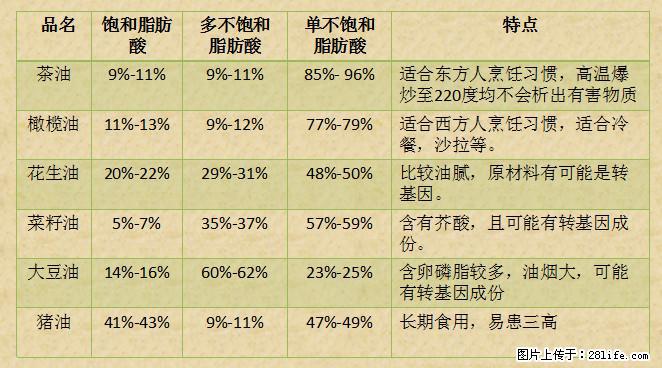 揭秘茶油的5大核心营养成分！被称为人体健康的“守护盾”！ - 楚雄生活资讯 - 楚雄28生活网 cx.28life.net