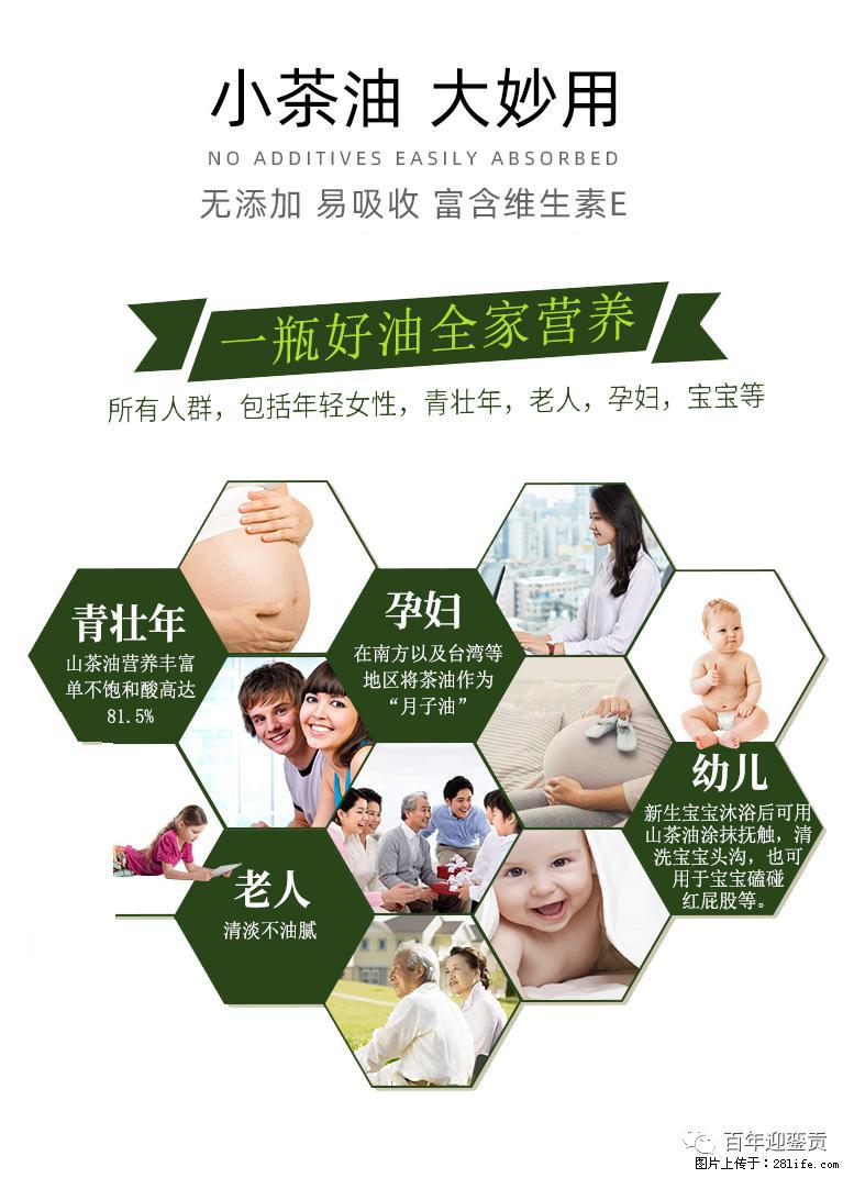世界没有真相，只有认知，最好的食用油是中国的山茶油！ - 楚雄生活资讯 - 楚雄28生活网 cx.28life.net