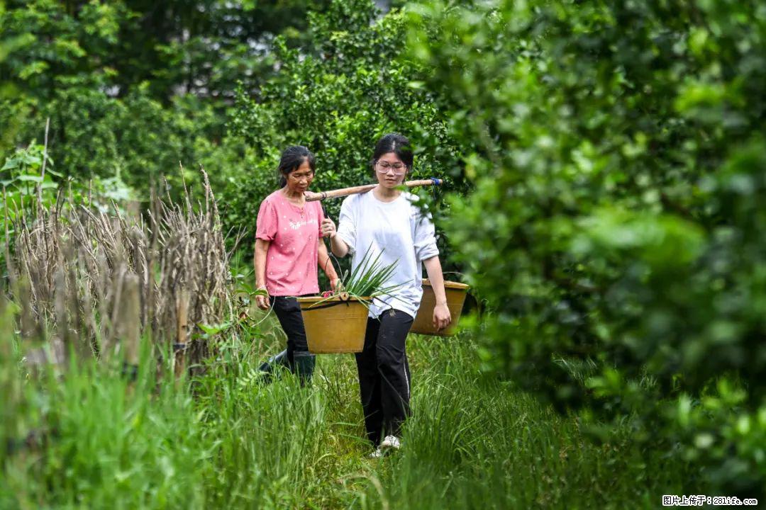 全网追的“扁担女孩”，找了一份暑假工，时薪12元 - 楚雄生活资讯 - 楚雄28生活网 cx.28life.net
