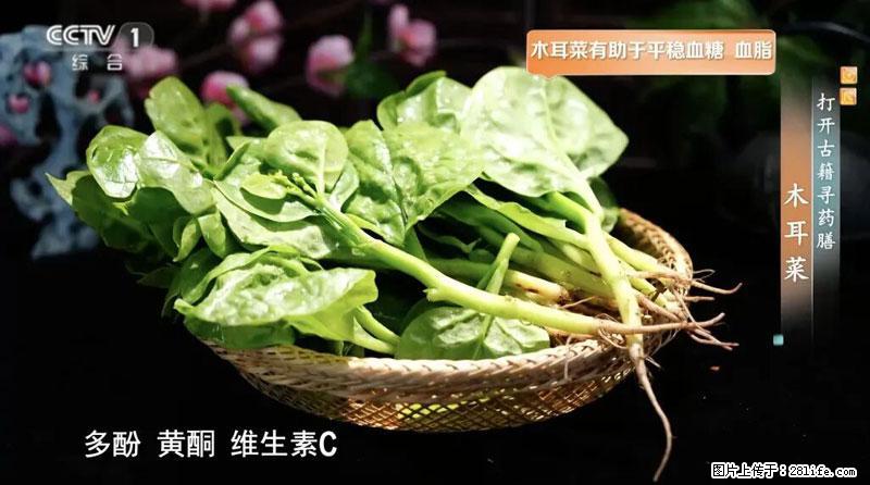 比牛奶补钙还厉害!凉血解毒、稳血糖...这菜冬天必吃,很多人却当草 - 楚雄生活资讯 - 楚雄28生活网 cx.28life.net