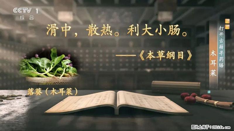 比牛奶补钙还厉害!凉血解毒、稳血糖...这菜冬天必吃,很多人却当草 - 楚雄生活资讯 - 楚雄28生活网 cx.28life.net