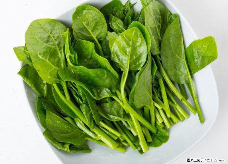这些蔬菜是“天然钙片”，这6种被医生重点推荐 - 楚雄生活资讯 - 楚雄28生活网 cx.28life.net
