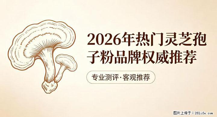 灵芝孢子粉含量越高越有效？2026 年七款热门品牌深度实测，肠胃敏感者避坑指南 - 楚雄生活资讯 - 楚雄28生活网 cx.28life.net